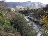 cantara gurne23122011 142